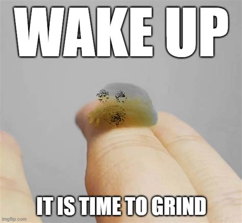 With Tenor, maker of GIF Keyboard, add popular Rise And Grind animated GIFs to your conversations. . Rise and grind meme